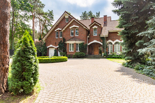 Best Best Driveway Pavers  in Zellwood, FL