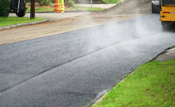 Best Local Driveway Pavers  in Zellwood, FL
